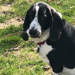 Meet your Posher, Mari